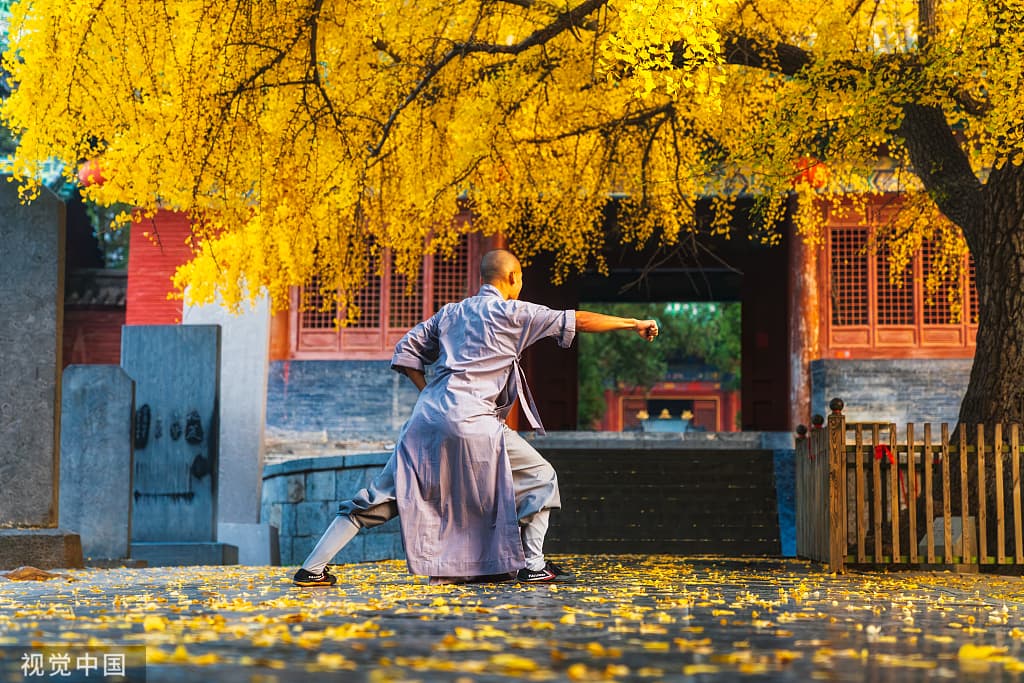 Henan: Shaolin Kung Fu & Longmen Grottoes
