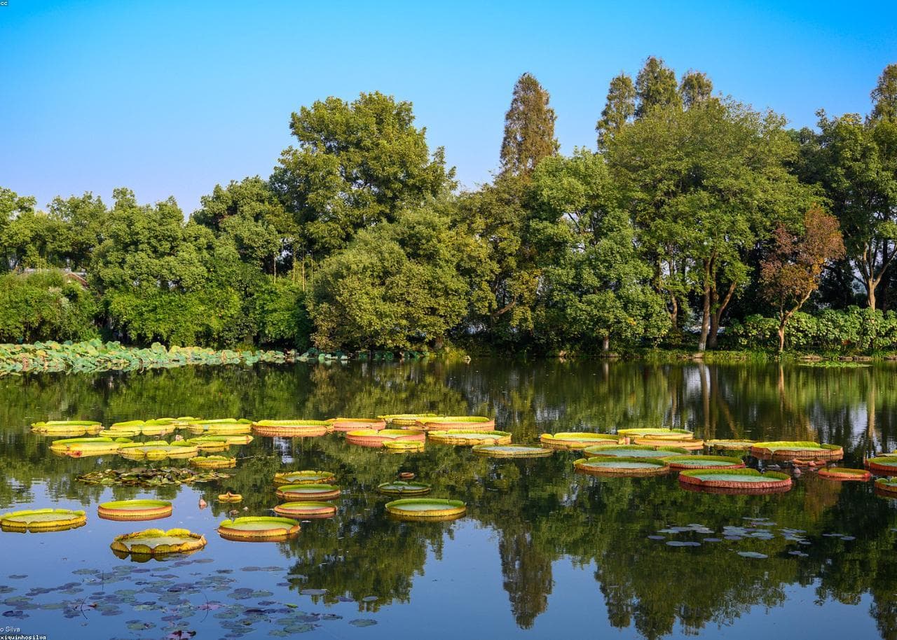 Hangzhou